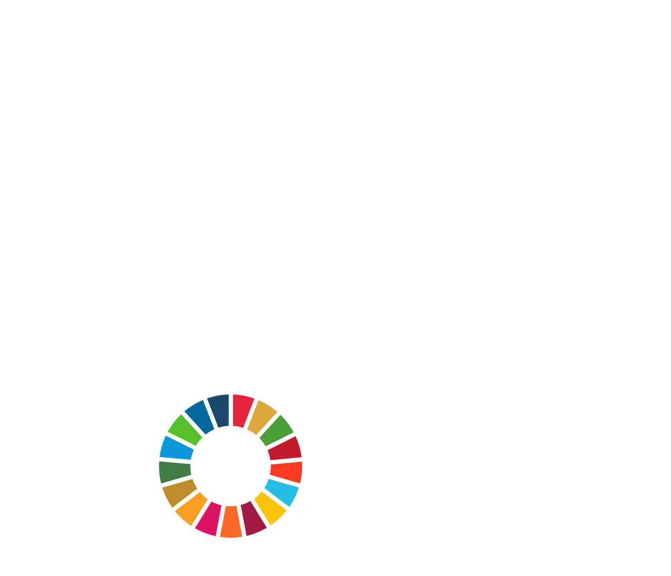 LOGO Sustainable Development Goals